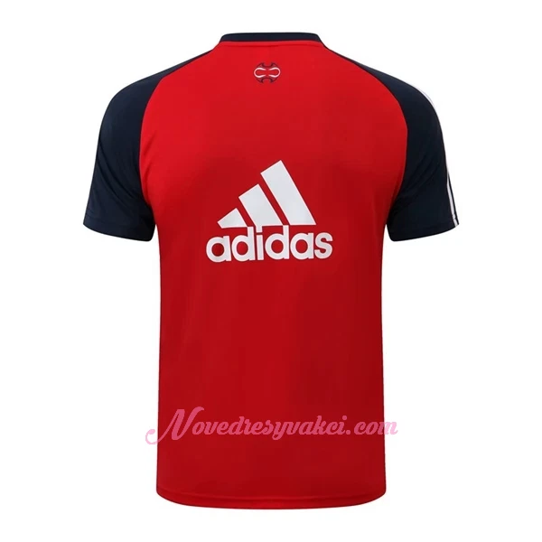 FC Bayern Mnichov Tréninkový Dresy Soupravy 2022-23 Červená Modrá