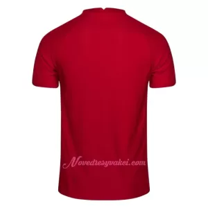 Fotbalové Dresy Norsko Domácí 2022-23