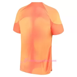 Brankářské Fotbalové Dresy Chelsea FC Domácí 2022-23