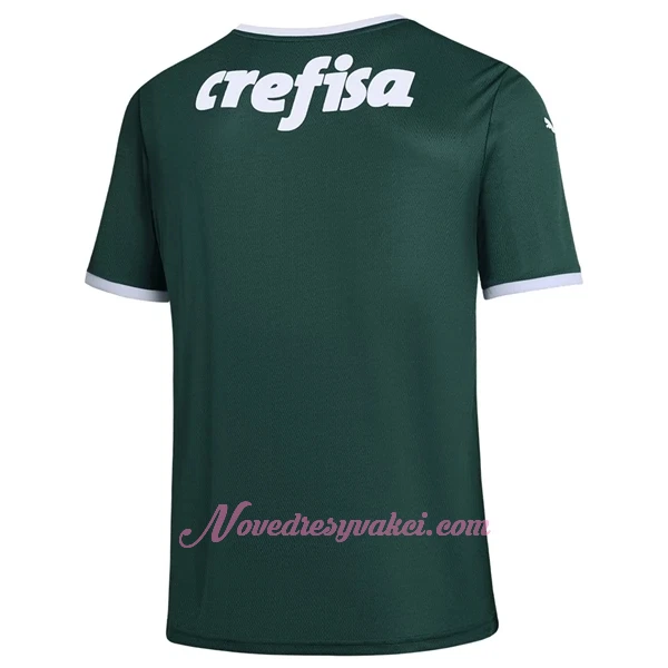Fotbalové Dresy Palmeiras Domácí 2022-23