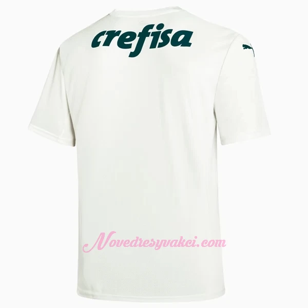 Fotbalové Dresy Palmeiras Venkovní 2022-23