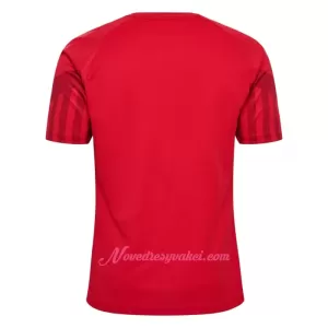 Fotbalové Dresy Dánsko Domácí MS 2022