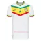 Fotbalové Dresy Senegal Domácí MS 2022