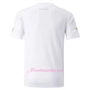 Fotbalové Dresy Srbsko Venkovní MS 2022