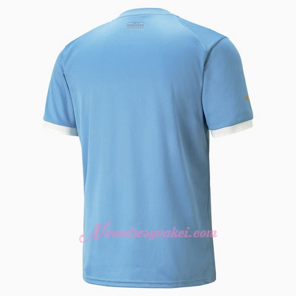 Fotbalové Dresy Uruguay Domácí MS 2022