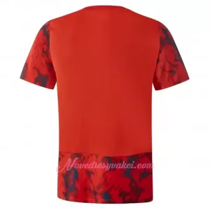 Fotbalové Dresy Olympique Lyonnais Venkovní 2022-23