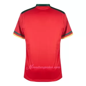 Fotbalové Dresy Kamerun Alternativní MS 2022
