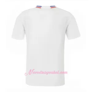 Fotbalové Dresy Olympique Lyonnais Domácí 2023-24