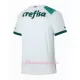 Fotbalové Dresy Palmeiras Venkovní 2023-24
