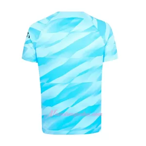 Brankářské Fotbalové Dresy Tottenham Hotspur Domácí 2023-24