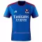 Fotbalové Dresy Olympique Lyonnais Venkovní 2023-24