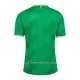 Fotbalové Dresy AS Saint-Étienne Domácí 2023-24