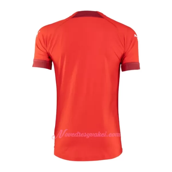 Fotbalové Dresy PSV Eindhoven Výročí 2023-24