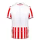 Fotbalové Dresy Stoke City Domácí 2023-24