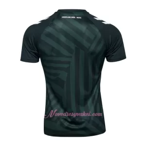 Fotbalové Dresy Werder Brémy Alternativní 2023-24