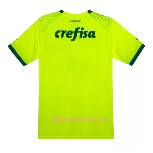 Fotbalové Dresy Palmeiras Alternativní 2023-24