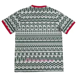 Fotbalové Dresy Nigérie 2023-24 - Speciální