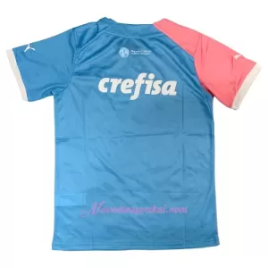 Fotbalové Dresy Palmeiras 2023-24 - Speciální