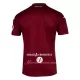 Fotbalové Dresy Torino Domácí 2023-24