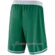Kraťasy NBA Boston Celtics Icon Edition Swingman