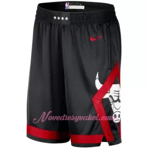 Kraťasy NBA Chicago Bulls City Edition Swingman