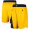 Kraťasy NBA Indiana Pacers Statement Edition Swingman