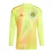 Brankářské Fotbalové Dresy Skotsko ME 2024 Žlutá Dlouhý Rukáv