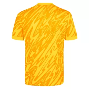 Brankářské Fotbalové Dresy Tottenham Hotspur 2024-25 Žlutá