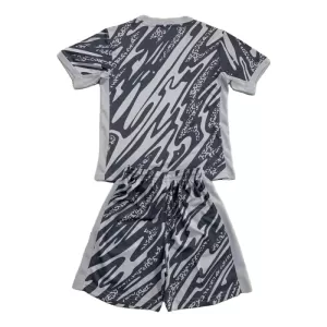 Brankářské Fotbalové Dresy Paris Saint-Germain Dětské 2024-25 Šedá