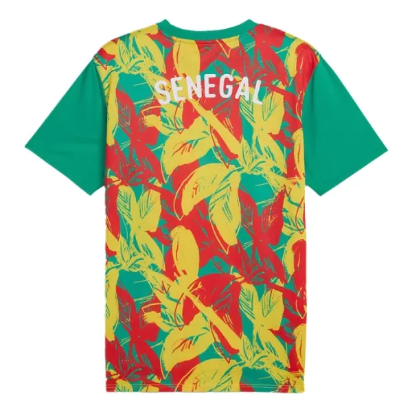 Fotbalové Dresy Senegal Pre-Match 2024-25
