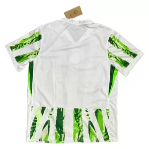 Fotbalové Dresy Nigérie Venkovní 2025-26