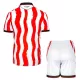 Fotbalové Dresy Stoke City Dětské Domácí 2025-26