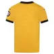 Fotbalové Dresy Wolverhampton Wanderers Domácí 2025-26