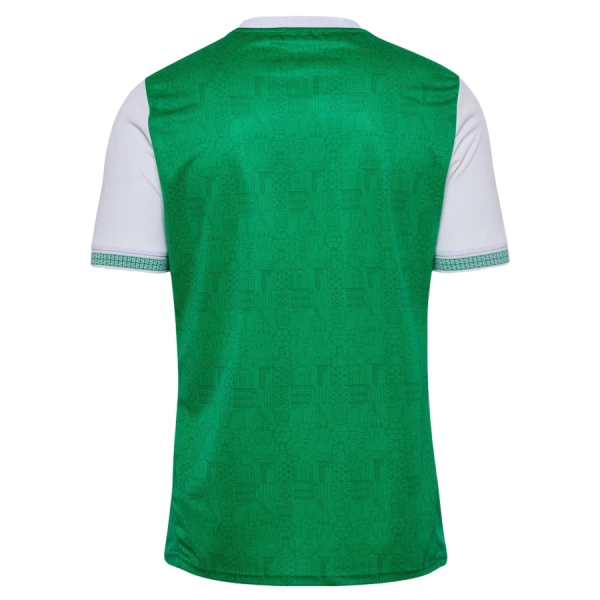 Fotbalové Dresy AS Saint-Étienne Domácí 2025-26