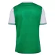 Fotbalové Dresy AS Saint-Étienne Domácí 2025-26