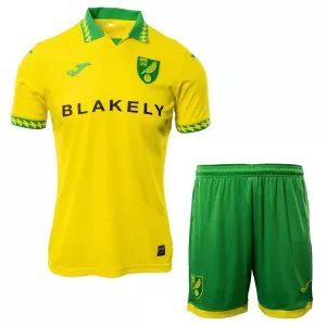 Fotbalové Dresy Norwich City Dětské Domácí 2025-26