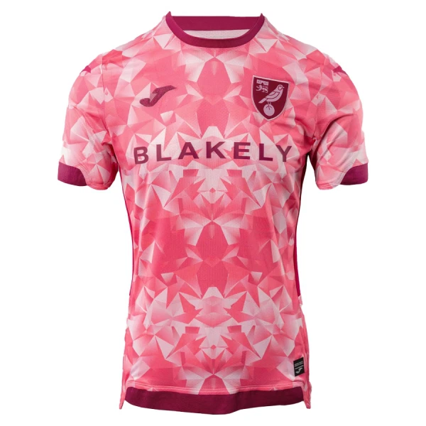 Fotbalové Dresy Norwich City Alternativní 2025-26