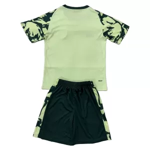 Fotbalové Dresy Cardiff City Dětské Venkovní 2025-26