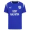 Fotbalové Dresy Cardiff City Domácí 2026-27