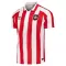 Fotbalové Dresy Sunderland Domácí 2026-27
