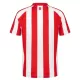 Fotbalové Dresy Sunderland Domácí 2026-27