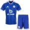 Fotbalové Dresy Leicester City Dětské Domácí 2026-27
