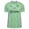 Fotbalové Dresy AS Saint-Étienne Alternativní 2026-27