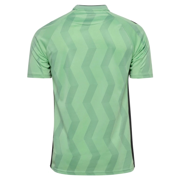 Fotbalové Dresy AS Saint-Étienne Alternativní 2026-27